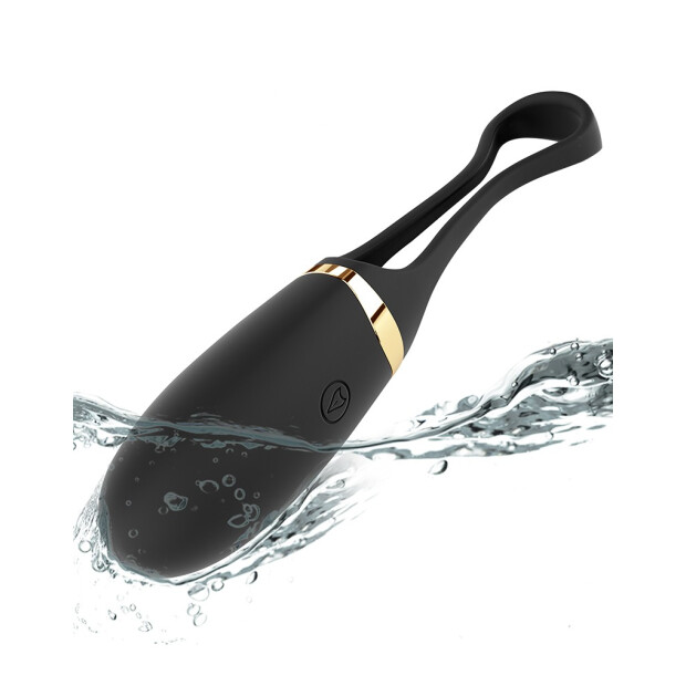 Dorcel Vibro Oeuf Secret Delight avec télécommande noir