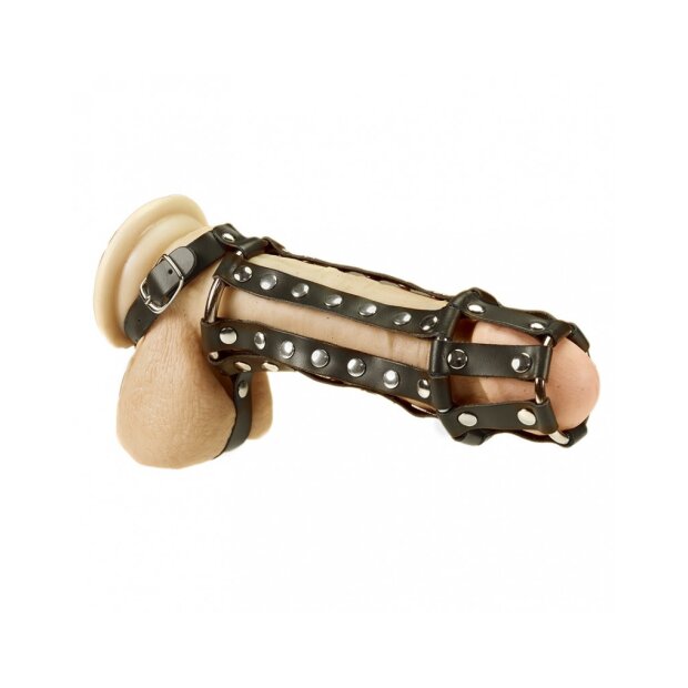 Rimba harnais pénien avec clous et sangle pour testicules noir M–L 15 cm