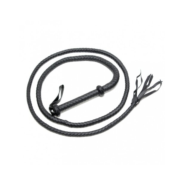 Rimba Arabian bullwhip