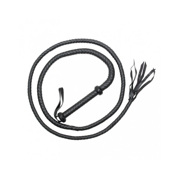 Rimba Arabian bullwhip