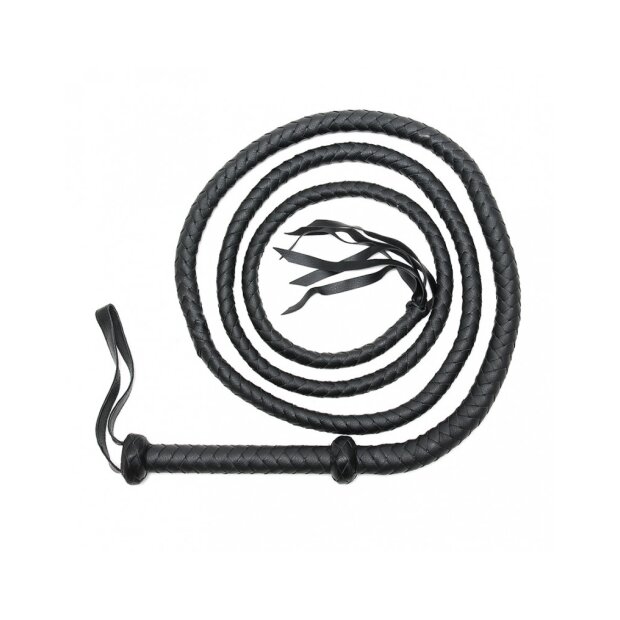Rimba Arabian bullwhip