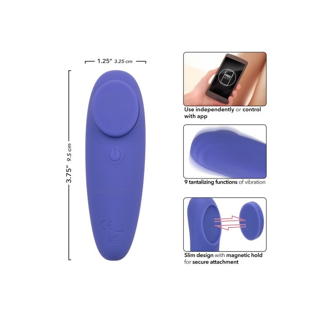 CalExotics Connect Panty Teaser Purple