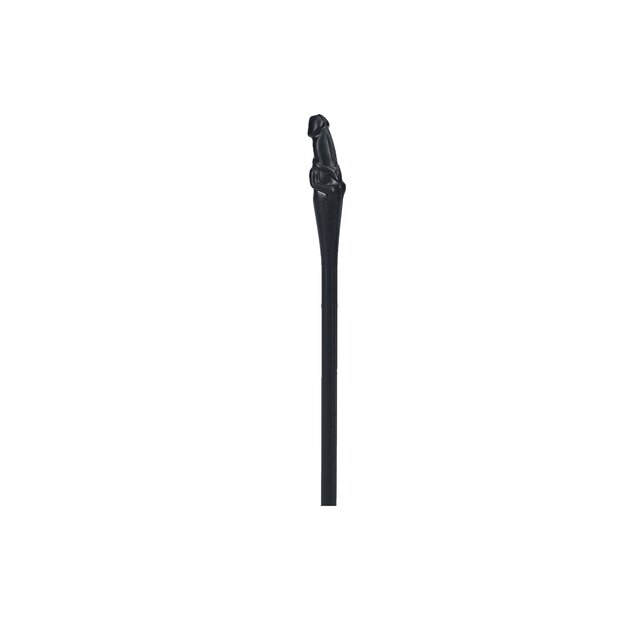 S-Line Penis Straws 18.5 cm Black