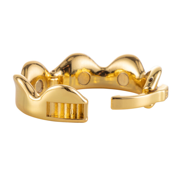 Sevanda Ring of Kings Glans Ring - Größe M