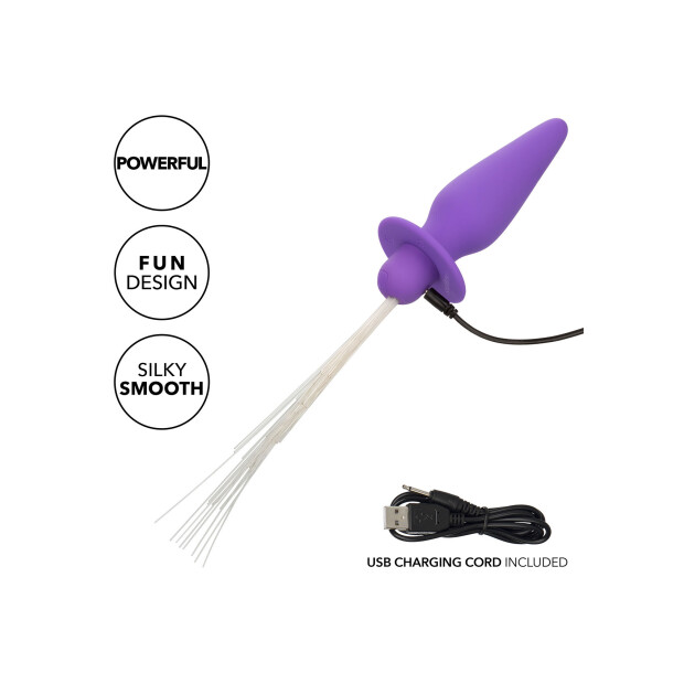 CalExotics Southern Lights Sonde Anale Vibrante Lumineuse Violette