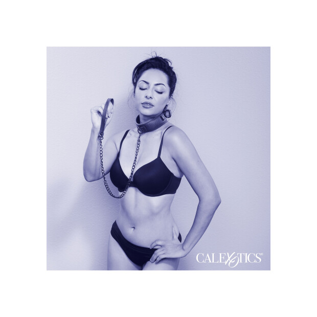 CalExotics Nocturnal Collection Halsband und Leine schwarz