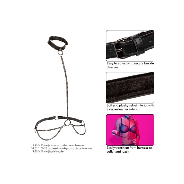 CalExotics Euphoria Collection chain collar & lead black