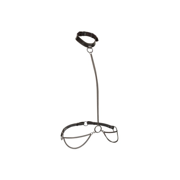 CalExotics Euphoria Collection Plus Size Collier à Chaîne et Laisse noir
