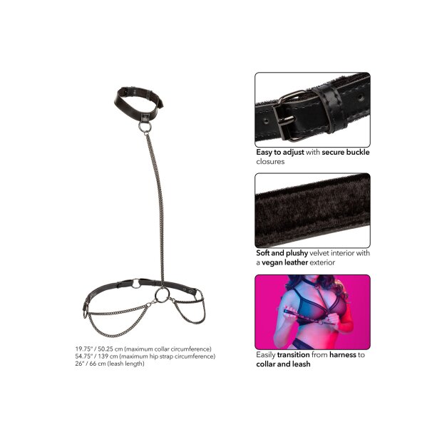 CalExotics Euphoria Collection Plus Size Collier à Chaîne et Laisse noir