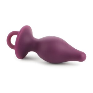 Rends LEmbellir Anal Plug Series M Violet