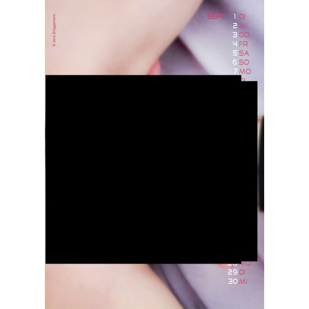 PIN-UP Calendrier Girls with Toys 2026