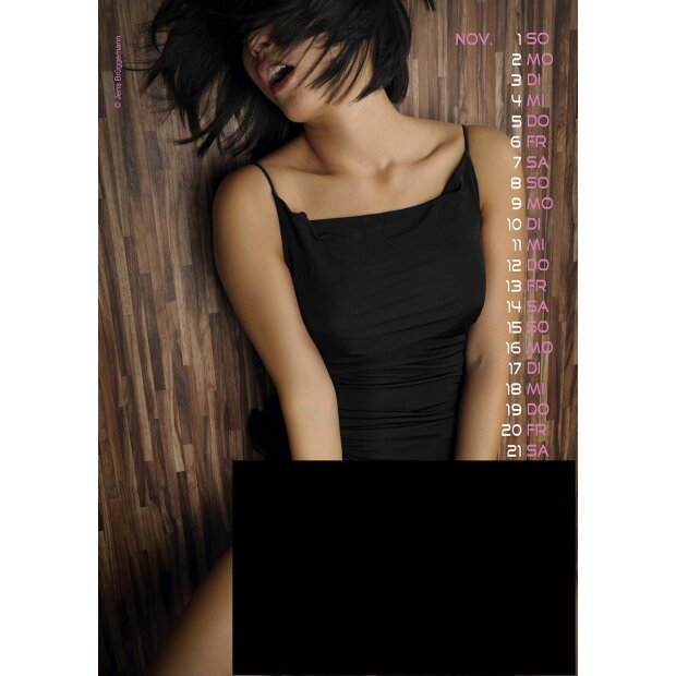 PIN-UP Calendrier Girls with Toys 2026