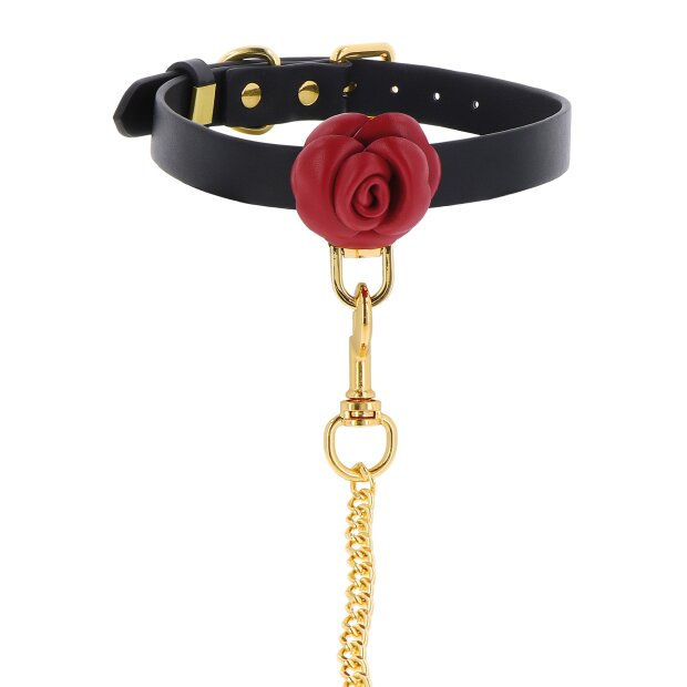 Taboom Wild Roses collar and lead