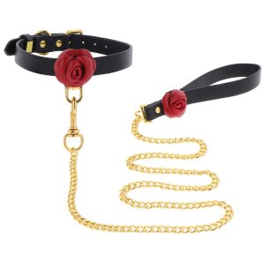 Taboom Wild Roses collar and lead