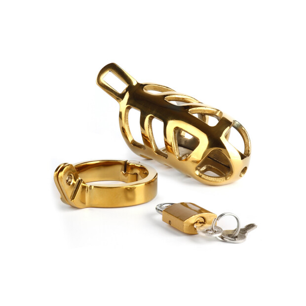 Mr. Steel Brutal Chastity Cage Gold Gold