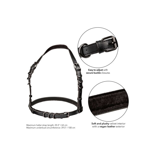 CalExotics Halter Buckle Harness Onesize - Plussize