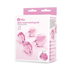 B - Vibe Analplug aus Glass ⌀ 3,95 cm