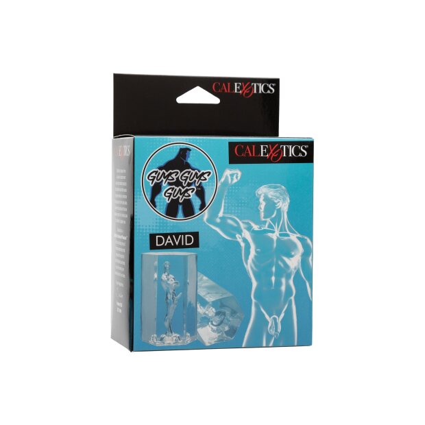 CalExotics Guys Guys Guys David 9,5 cm Clear