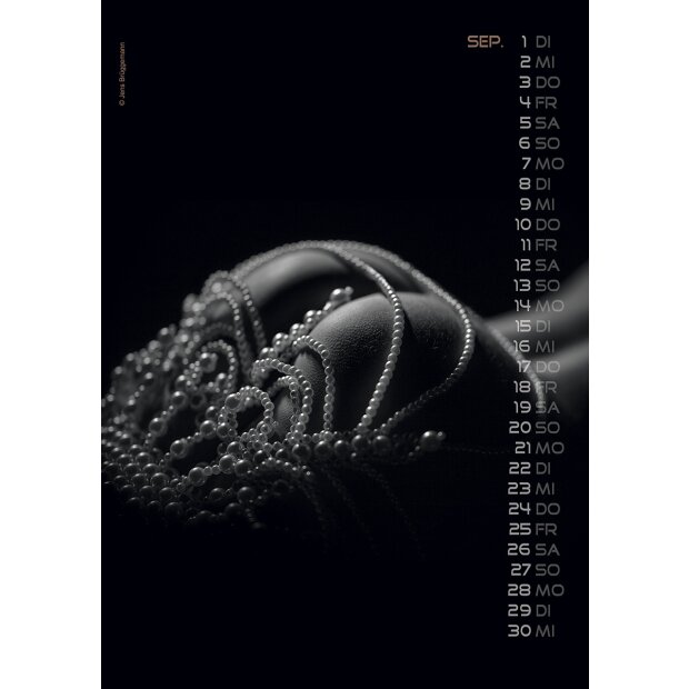 PIN-UP Calendar Sexy Backside 2026