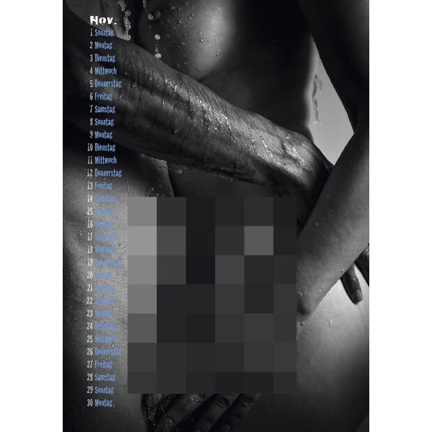 PIN-UP Kalender Nice Guys & Bad C*cks 2026