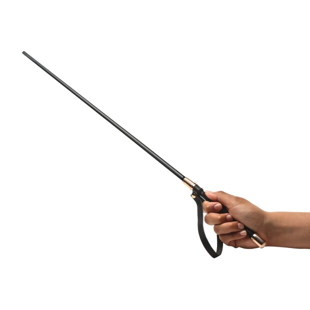 XR Brands Caning Rod 61 cm Noir