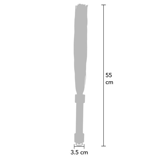 Hidden Desire Lederpeitsche 55 cm