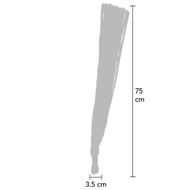 Hidden Desire Lederpeitsche 75 cm