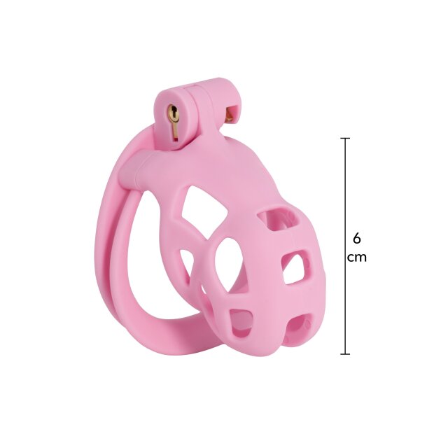 Hidden Desire Penis Prison Cock Cage