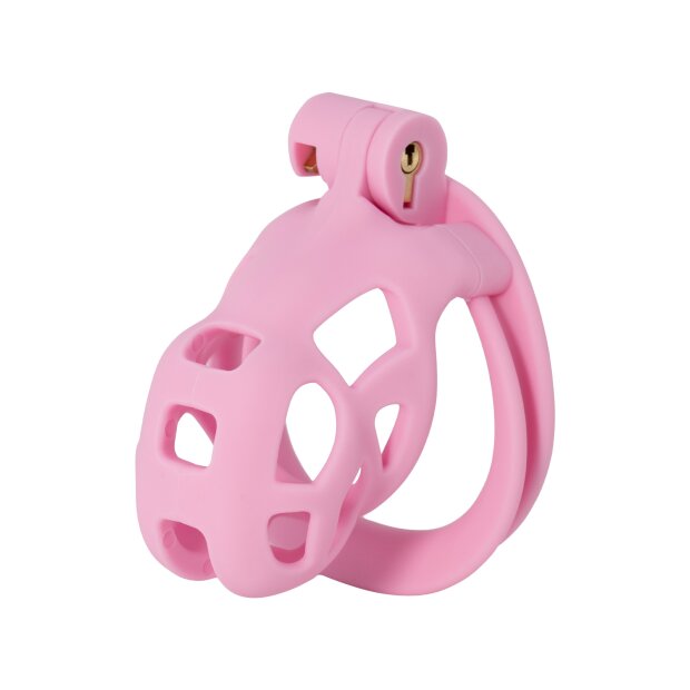 Hidden Desire Penis Prison Cock Cage