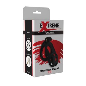 Hidden Desire Penis Prison Cage Pénienne Regular...