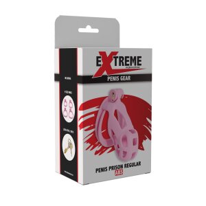Hidden Desire Penis Prison Cage Pénienne Regular...