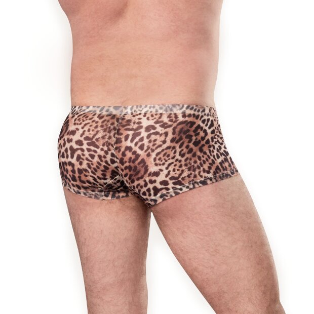 Amorable Transparent Leopard Shorts Multicolor M-L