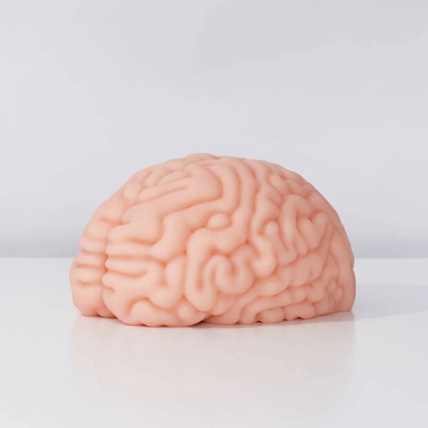 Motsutoys Brain Hacked DX Masturbator 1,2 Kg Beige