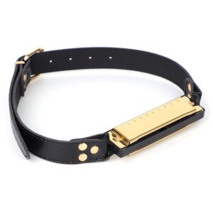 BDSMaster Bâillon Harmonica Plaqué