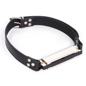 BDSMaster Harmonika Gag Argent