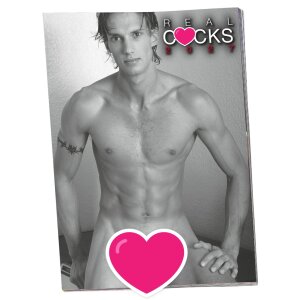 PIN-UP Kalender Real Cocks 2027