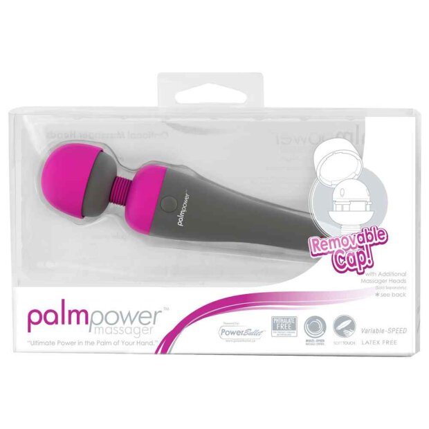 PalmPower Palm Power Massager