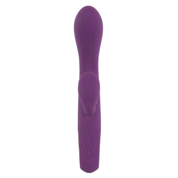 Rabbit Vibrator petit purple