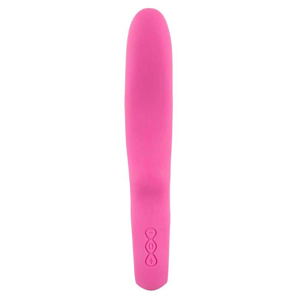 Dual Vibrator petit pink, 33,95