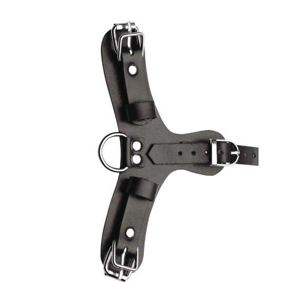 Master Series Pup Puppy Play Hood + Breathable Ball Gag