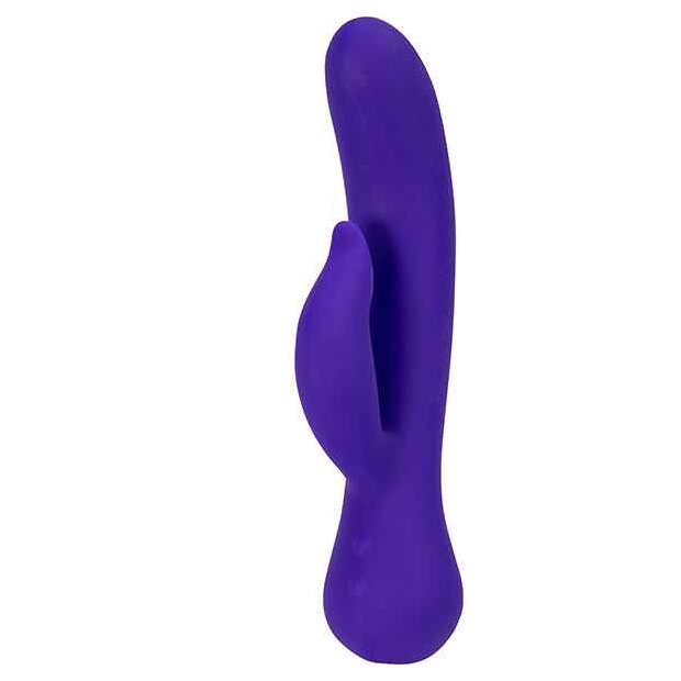 Swan The Duchess Swan